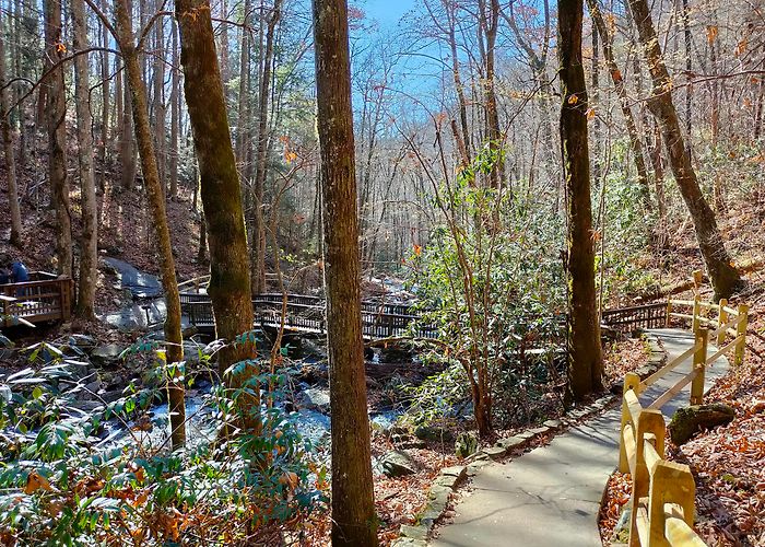Anna Ruby Falls photo