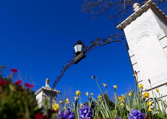 Emory University photo