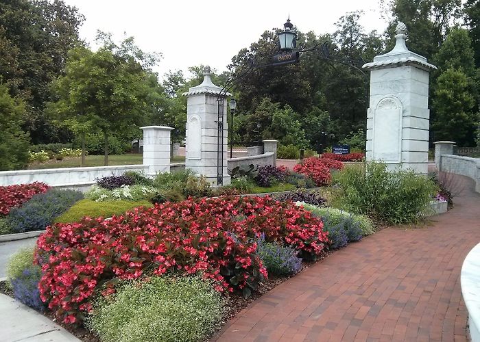 Emory University photo