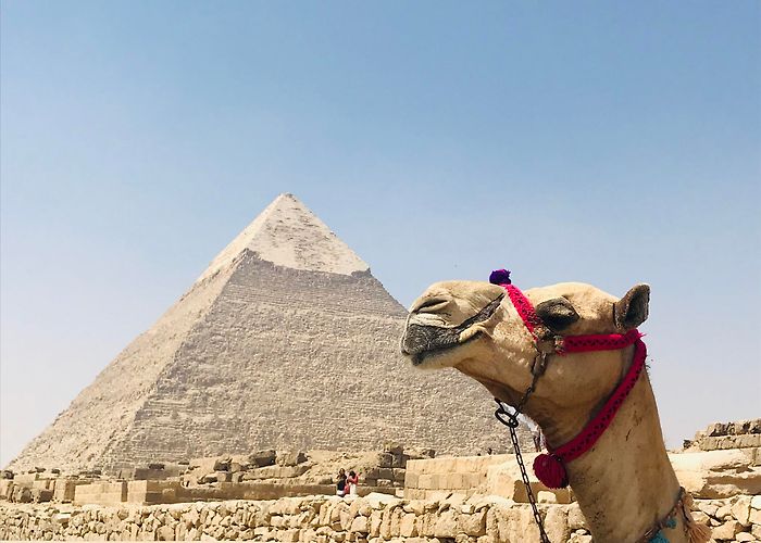 Giza Pyramids photo