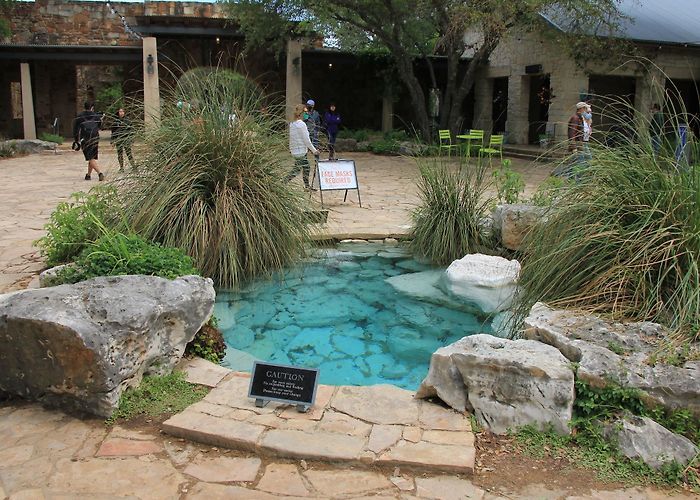 Lady Bird Johnson Wildflower Center photo