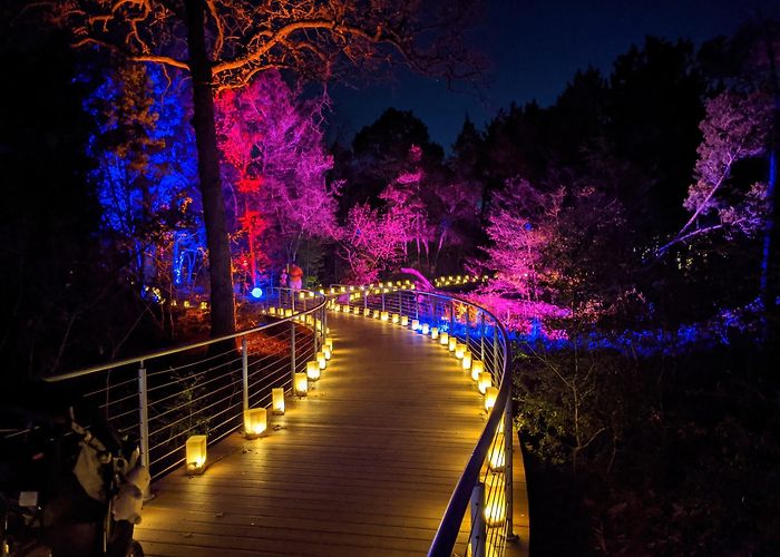 Lady Bird Johnson Wildflower Center photo