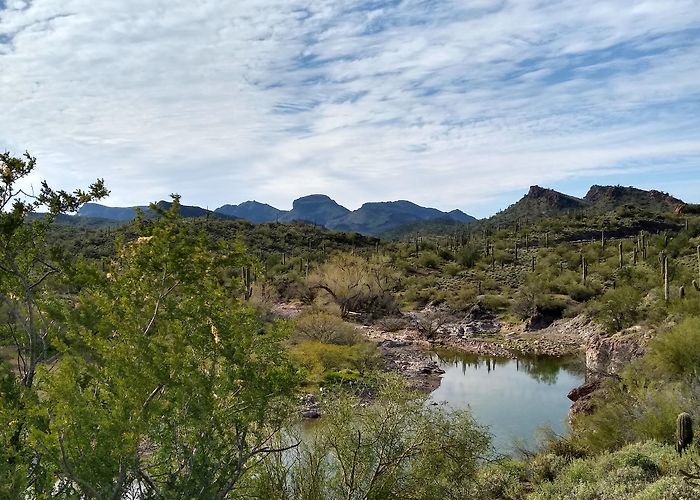 Lake Pleasant Regional Park photo