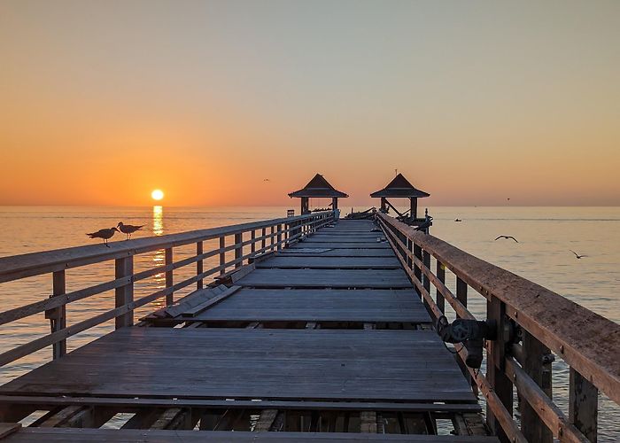 Naples Pier photo