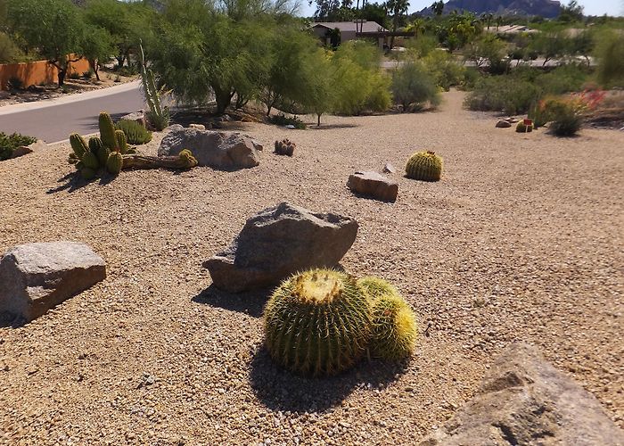 Camelback Mountain photo