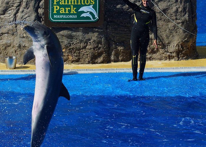 Palmitos Park Palmitos Park Tours - Book Now | Expedia photo