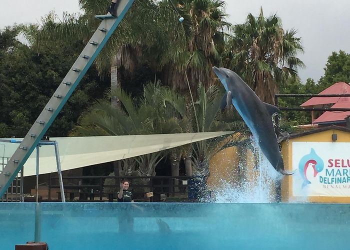 Selwo Marina Selwo Marina Tours - Book Now | Expedia photo