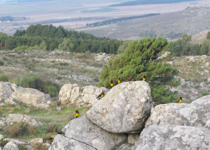 Sierra del Tigre Natural Reserve Tandil. Reserva Natural – Sierra del Tigre photo