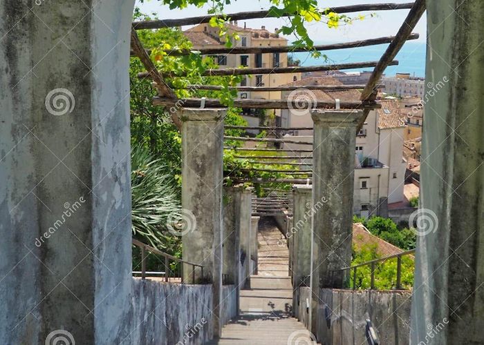 The Garden of Minerva The Minerva Garden of Salerno, a Botanical Garden Dedicated To the ... photo