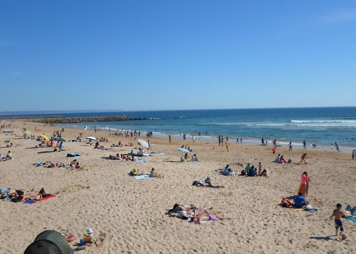 Almada Forum Shopping Center Things to Do in Almada in 2024 | Expedia photo