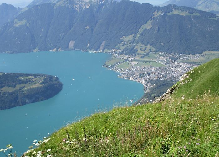 Fronalpstock Visit Stoos: 2024 Travel Guide for Stoos, Morschach | Expedia photo