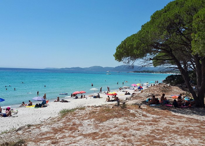 Palombaggia Beach Palombaggia Beach in Porto-Vecchio - Tours and Activities | Expedia.ca photo