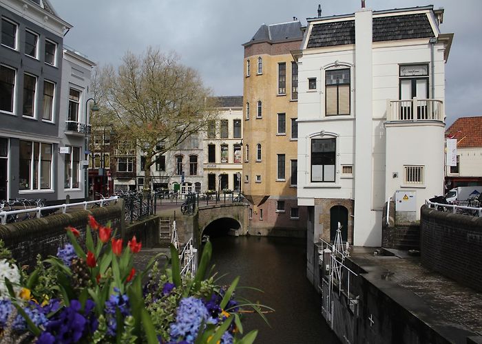 IJsselweide Golf Things to Do in Gouda in 2024 | Expedia photo