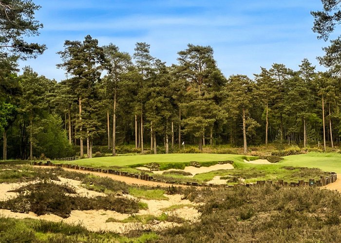 Hankley Common Golf Club Hankley Common Golf Club | Golf Course Review — UK Golf Guy photo