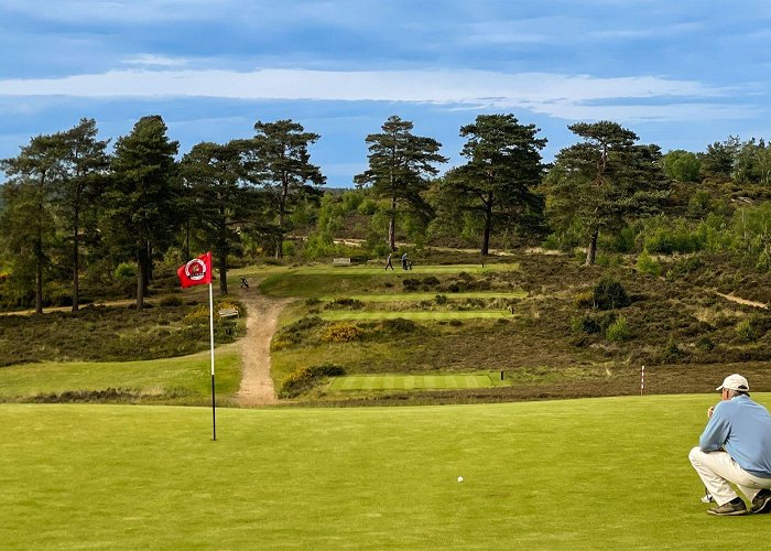 Hankley Common Golf Club Hankley Common Golf Club | Golf Course Review — UK Golf Guy photo
