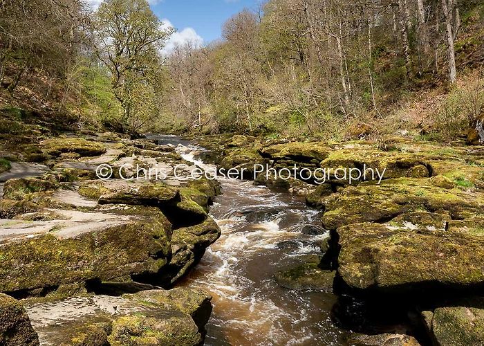 The Strid By The Strid, Bolton Abbey - Chris Ceaser Photography photo