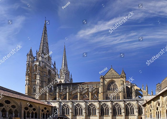Saint Marie Cathedral 735 Cathedral Bayonne Royalty-Free Photos and Stock Images ... photo