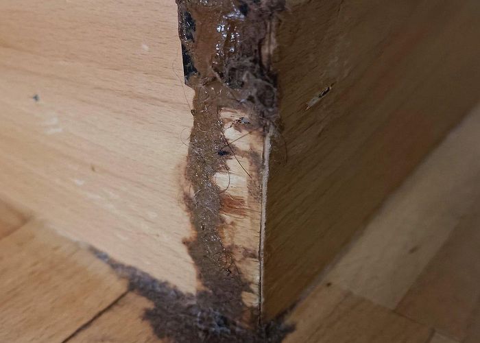 Museo Elisarion E-ROOMS MINUSIO $128 ($̶1̶7̶7̶) - Prices & Lodging Reviews ... photo