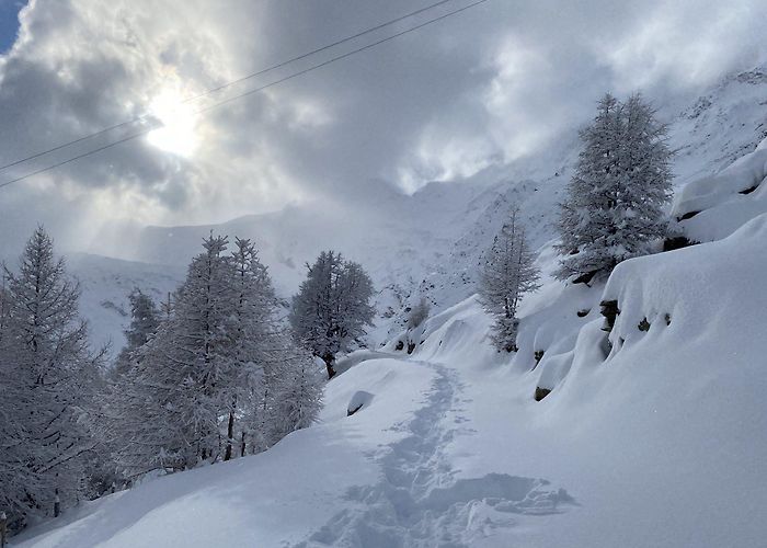 Egginer Winter Wonderland Hike & Sledge in Saas Fee – THINKNATURE photo