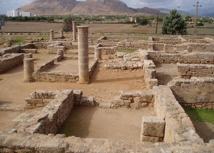 Museo Monografico de Pollentia El centenario de las excavaciones de Pollentia, protagonista en la ... photo