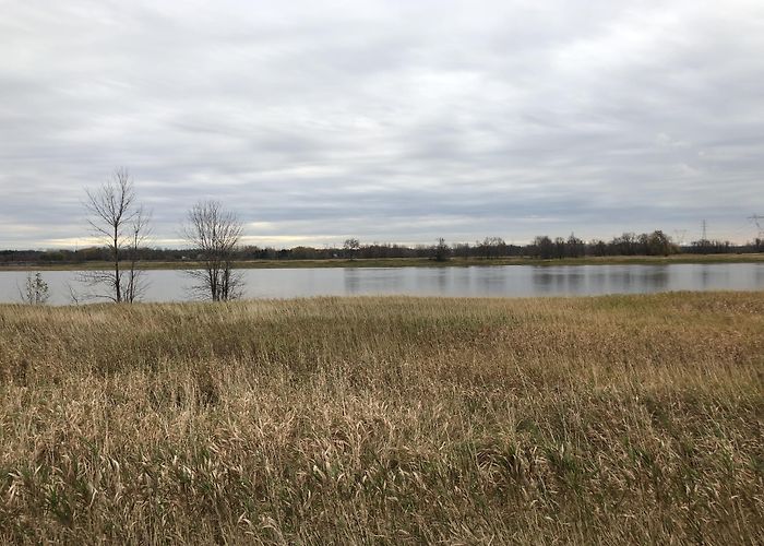 Arena Mike Bossy Visit Laval: 2024 Travel Guide for Laval, Montreal | Expedia photo