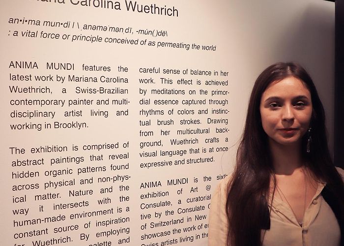 Consulate General of Switzerland Swiss Consulate New York — Mariana Carolina Wuethrich: ANIMA MUNDI photo