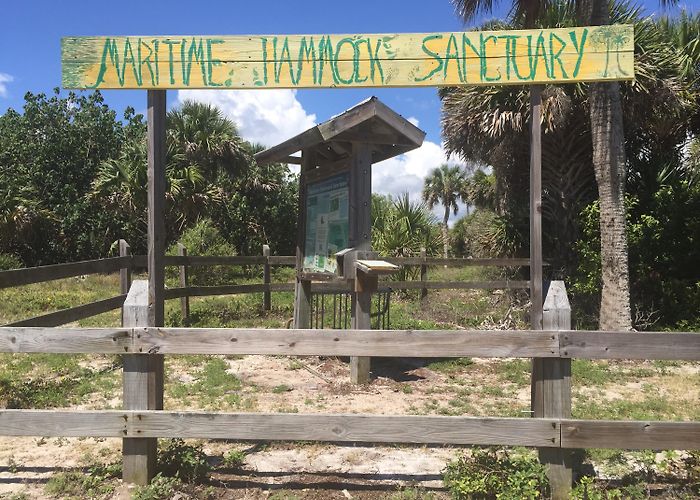 Archie Carr National Wildlife Refuge Maritime Hammock Sanctuary – Melbourne Beach, FL | WARSH GONE WILD photo
