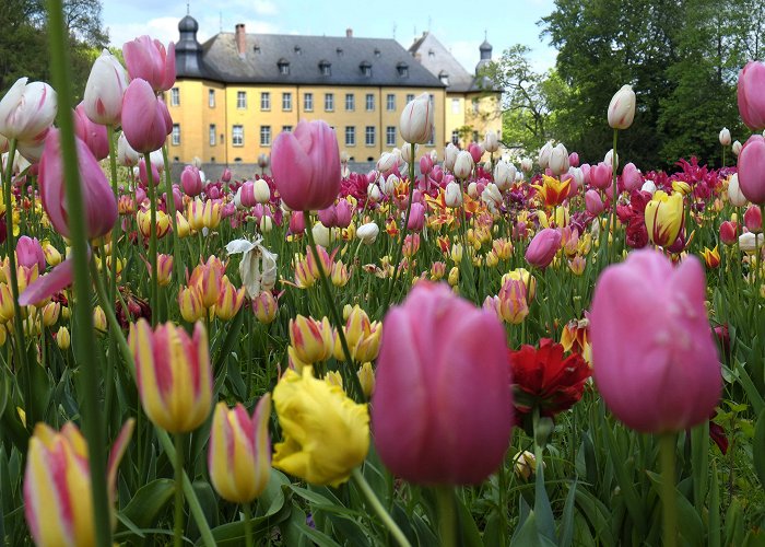 Historischer Marktplatz Homburg https://www.24rhein.de/sitemap-leben-im-westen.xml.gz photo