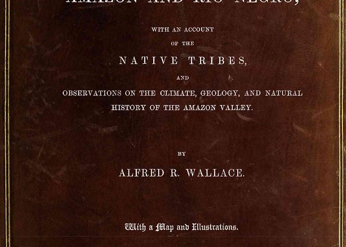 Barra Americana Venus A Narrative of Travels on the Amazon and Rio Negro | Project Gutenberg photo
