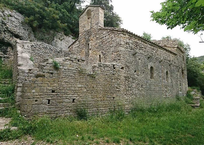 Collias photo