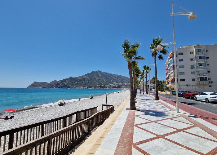 El Albir photo