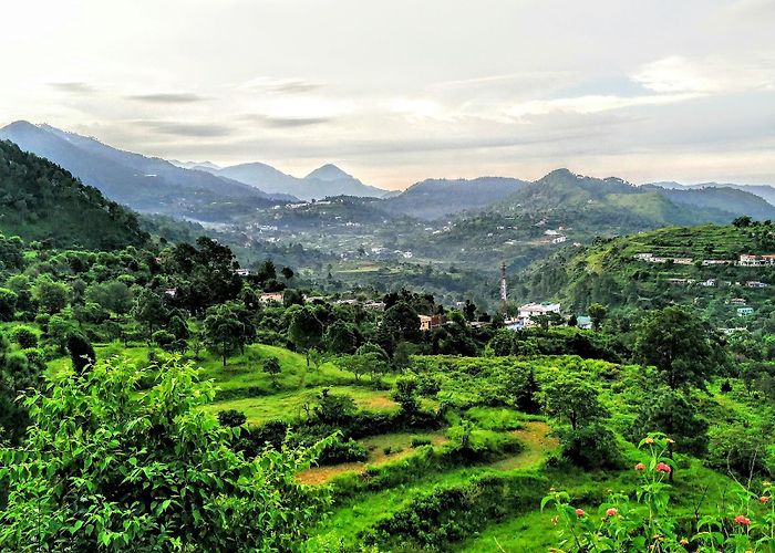 Bhimtal photo