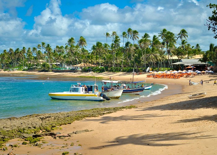 Praia do Forte photo