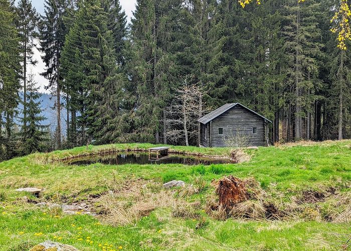 Hinterzarten photo
