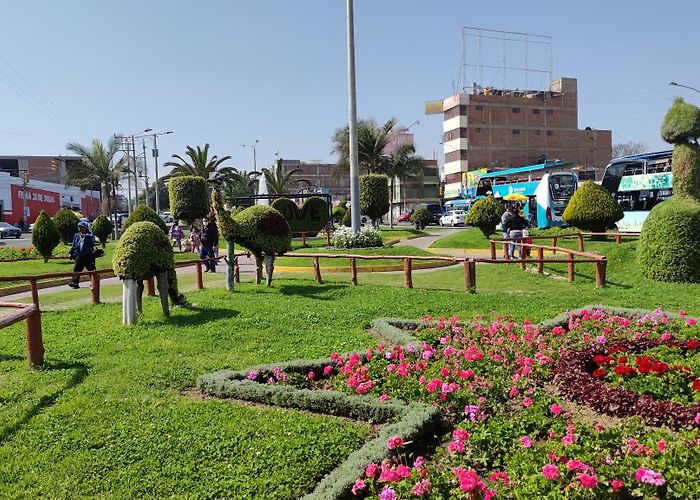 Tacna photo