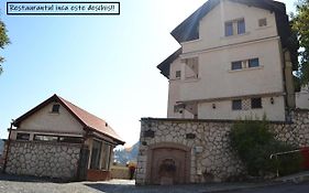 Pensiunea Casa Cranta Brașov Exterior photo