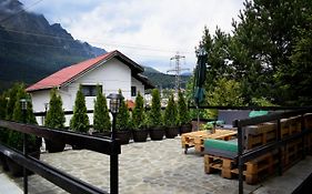 The Bear House Villa Buşteni Exterior photo