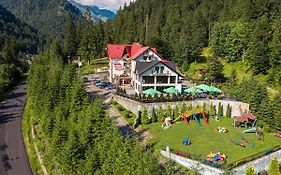 Piscul Negru Hotel - Transfagarasan Cumpăna Exterior photo