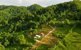 La Cabană, Corbeni Villa Exterior photo