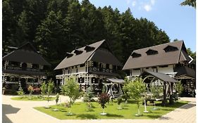 Complex Lions Bucovina Hotel Voroneţ Exterior photo