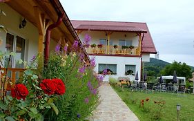 Pensiunea Poezii Alese Hotel Valea Drăganului Exterior photo