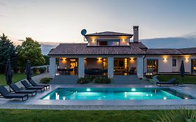 Villa Labin In Zartinj - Luxury Privacy Heated Pool With Auto Cover Exterior photo