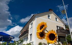 Landgasthof Am Sonnenhang Hotel Vohenstrauss Exterior photo