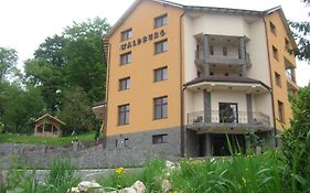 Pension Waldburg Hotel Rîşnov Exterior photo