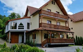 Karina Panzio Bed & Breakfast Sovata Exterior photo