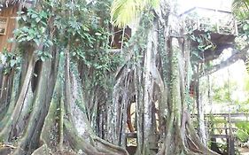 Topos Tree House Villa Cahuita Exterior photo