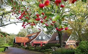 Het Ros Van Twente Hotel De Lutte Exterior photo