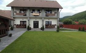 Constantin Panzio Bed & Breakfast Praid Exterior photo