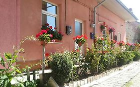 Center Park Apartment Cluj-Napoca Exterior photo