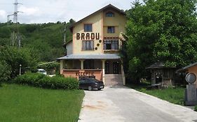 Pensiunea BRADU Hotel Piatra Neamţ Exterior photo